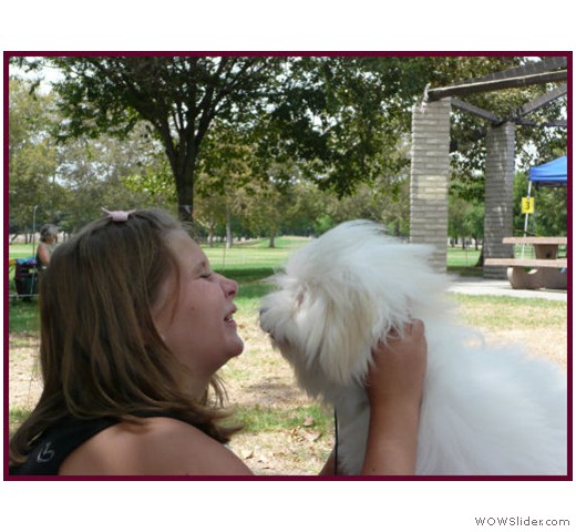 slideshow_11