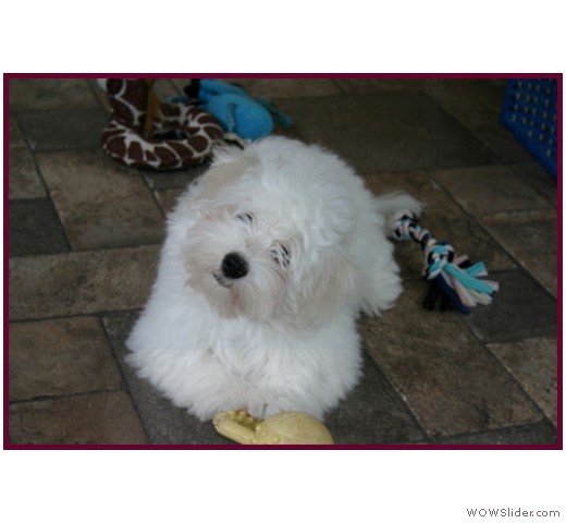 slideshow_19