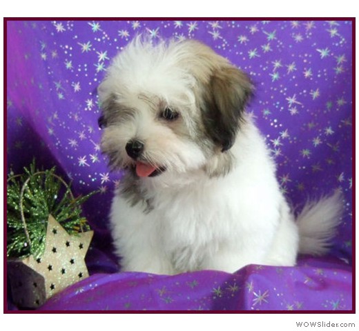 slideshow_2