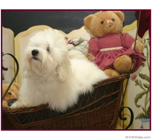 slideshow_24
