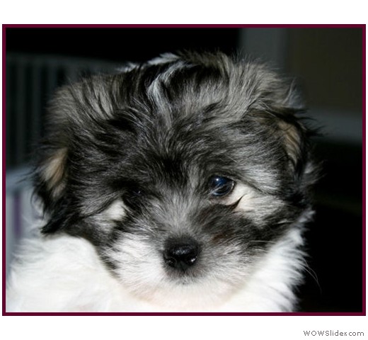 slideshow_47