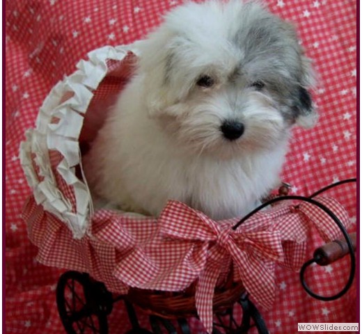 slideshow_48