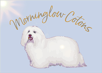 Morninglow Cotons Morninglow Cotons