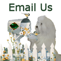 Email Us